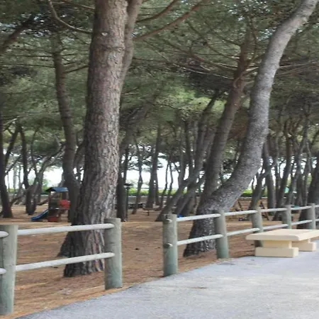 Modern At Rosa Di Martinsicuro Near Sea Apartment